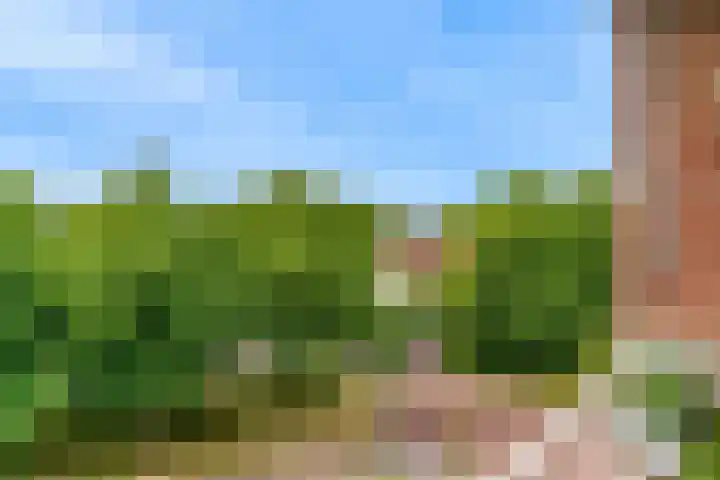 Valeriuslaan 10 Uithoorn thumbnail 19