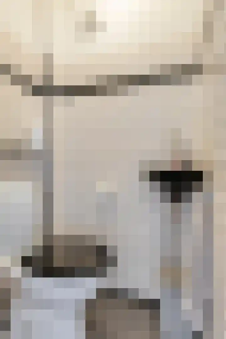 Valeriuslaan 12 Uithoorn thumbnail 14