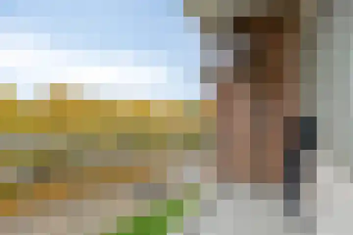 Valeriuslaan 12 Uithoorn thumbnail 20