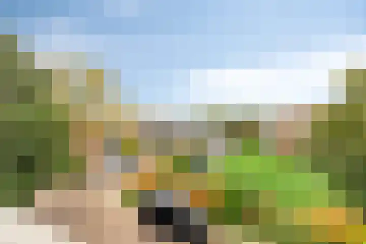 Valeriuslaan 12 Uithoorn thumbnail 22