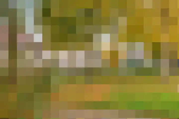 Valeriuslaan 12 Uithoorn thumbnail 27