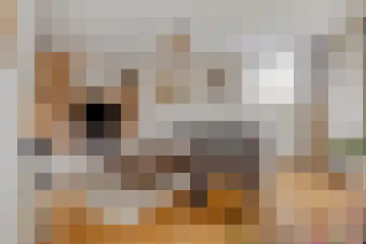 Valeriuslaan 12 Uithoorn thumbnail 4
