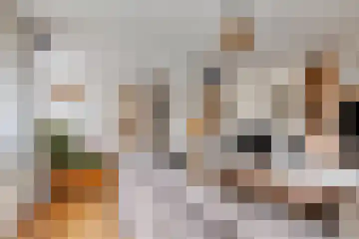 Valeriuslaan 12 Uithoorn thumbnail 5