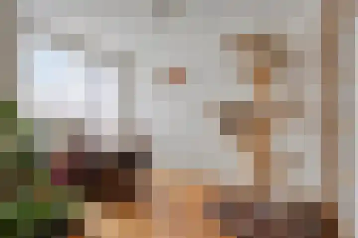 Valeriuslaan 12 Uithoorn thumbnail 7
