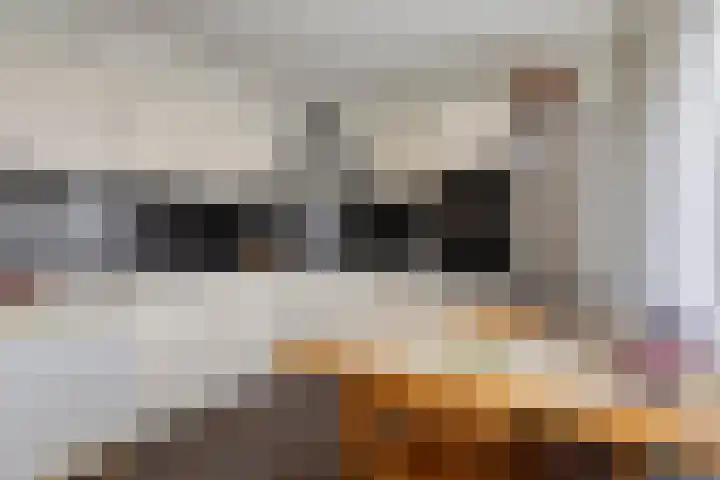 Valeriuslaan 12 Uithoorn thumbnail 9