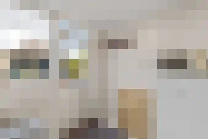 Valeriuslaan 15 Roosendaal thumbnail 15