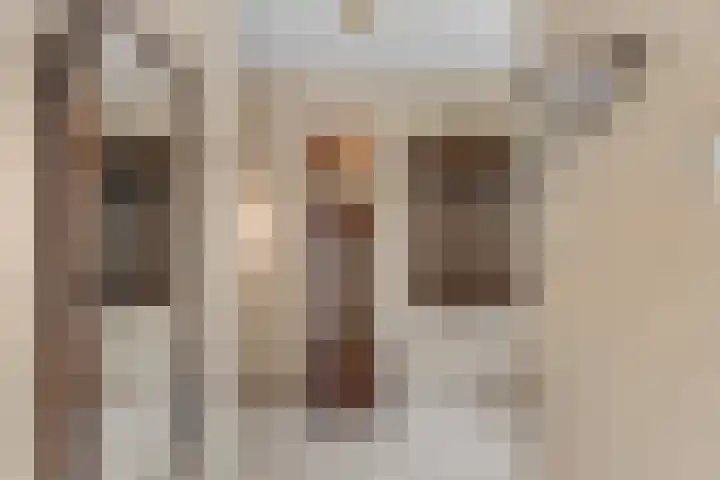 Valeriuslaan 15 Roosendaal thumbnail 17