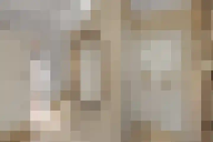 Valeriuslaan 15 Roosendaal thumbnail 18