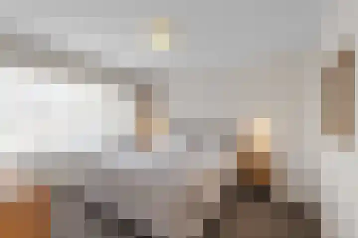 Valeriuslaan 15 Roosendaal thumbnail 19