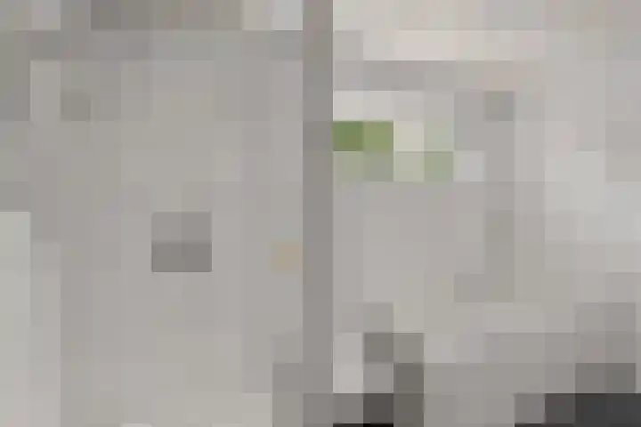 Valeriuslaan 15 Roosendaal thumbnail 21