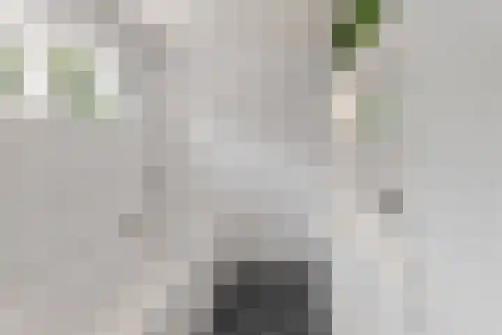 Valeriuslaan 15 Roosendaal thumbnail 22
