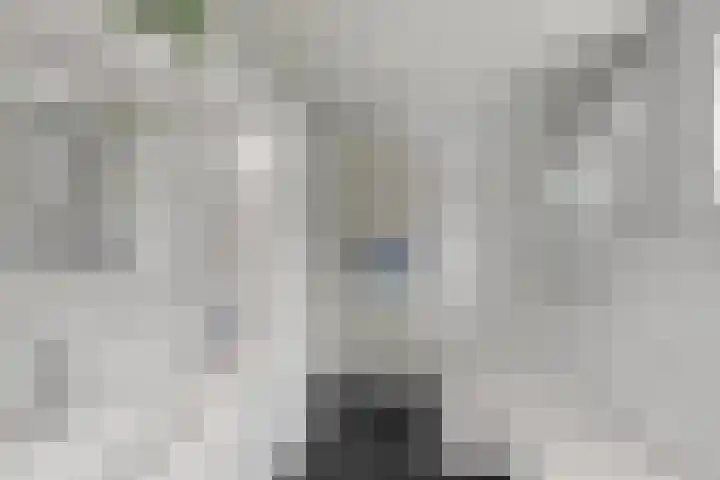 Valeriuslaan 15 Roosendaal thumbnail 24