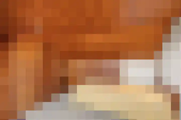 Valeriuslaan 15 Roosendaal thumbnail 32