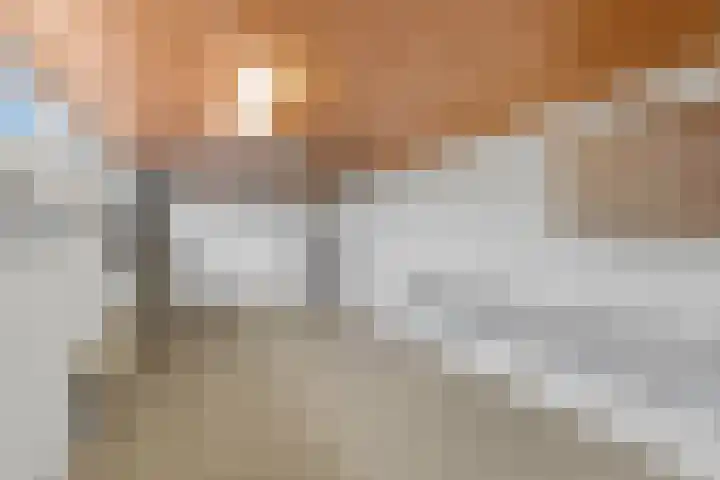 Valeriuslaan 15 Roosendaal thumbnail 36