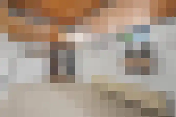 Valeriuslaan 15 Roosendaal thumbnail 37