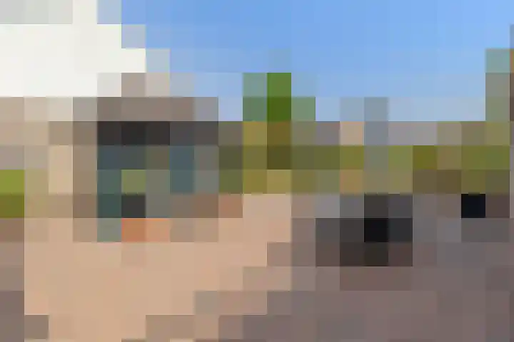 Valeriuslaan 15 Roosendaal thumbnail 38