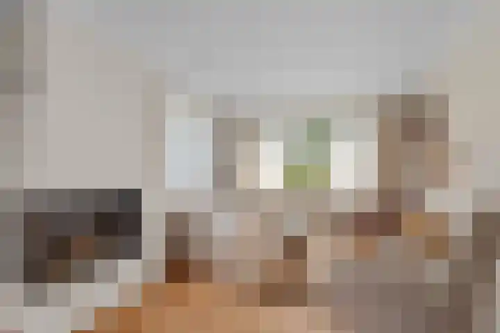 Valeriuslaan 15 Roosendaal thumbnail 4
