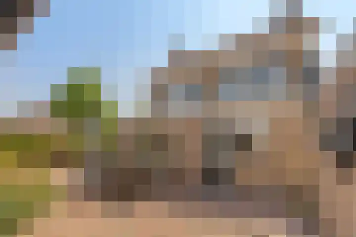 Valeriuslaan 15 Roosendaal thumbnail 40