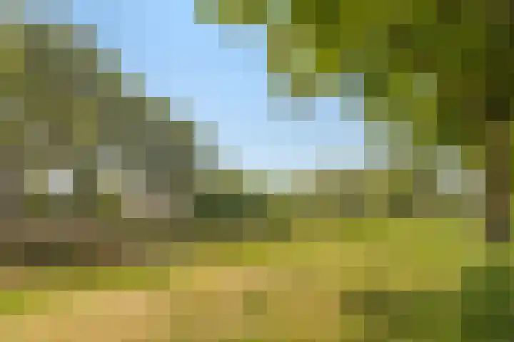 Valeriuslaan 15 Roosendaal thumbnail 51