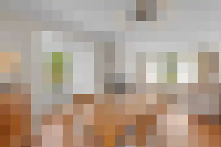Valeriuslaan 15 Roosendaal thumbnail 6