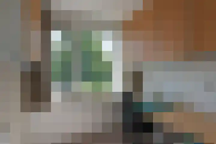 Valeriuslaan 19 Uithoorn thumbnail 15