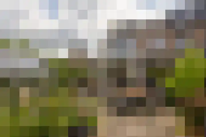 Valeriuslaan 19 Uithoorn thumbnail 23