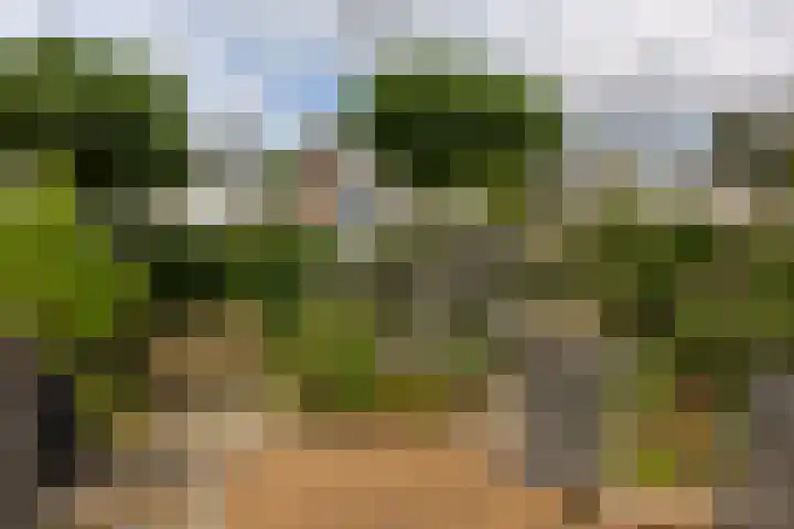 Valeriuslaan 19 Uithoorn thumbnail 25