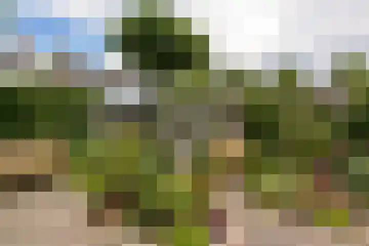 Valeriuslaan 19 Uithoorn thumbnail 26