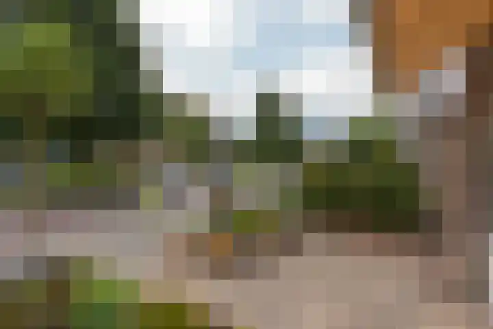 Valeriuslaan 19 Uithoorn thumbnail 29