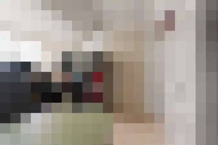 Valeriuslaan 21 Dieren thumbnail 26