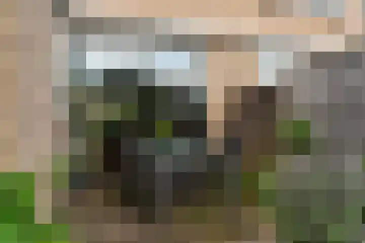 Valeriuslaan 21 Dieren thumbnail 28