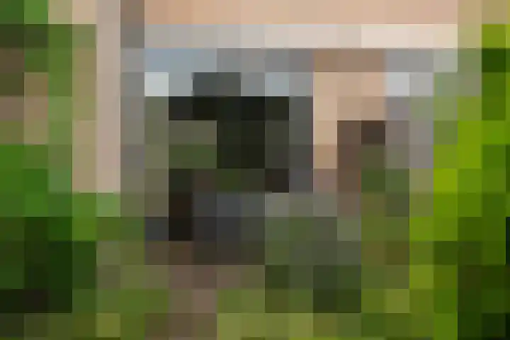 Valeriuslaan 21 Dieren thumbnail 29