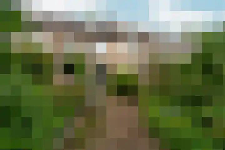 Valeriuslaan 21 Dieren thumbnail 32