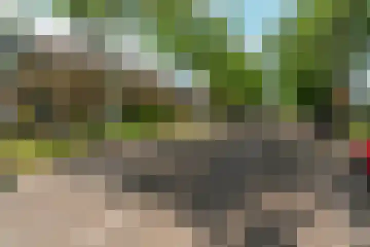Valeriuslaan 21 Dieren thumbnail 36