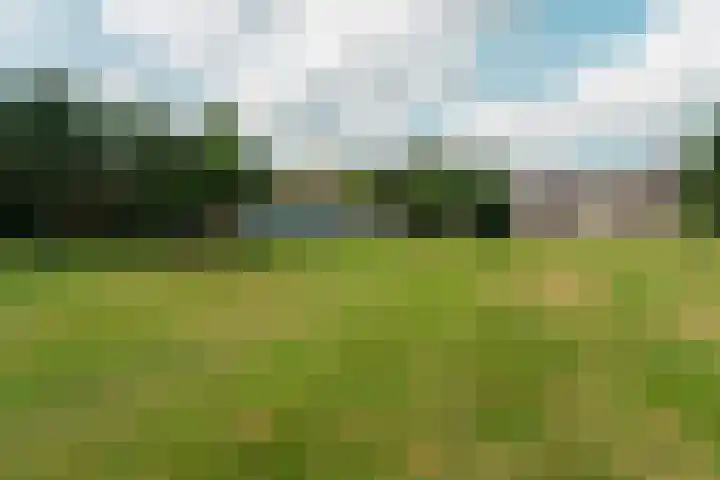Valeriuslaan 21 Dieren thumbnail 37
