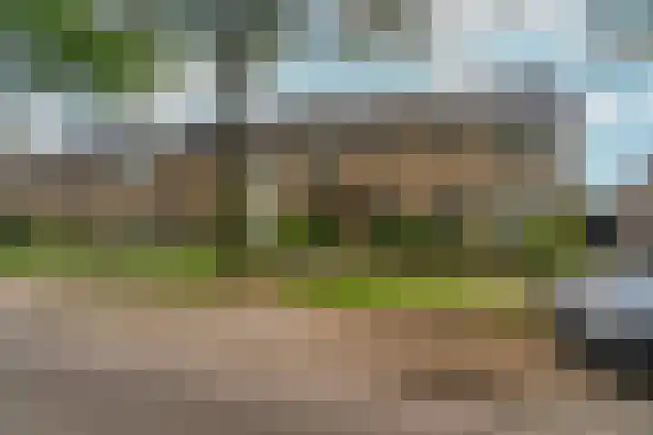 Valeriuslaan 21 Dieren thumbnail 44