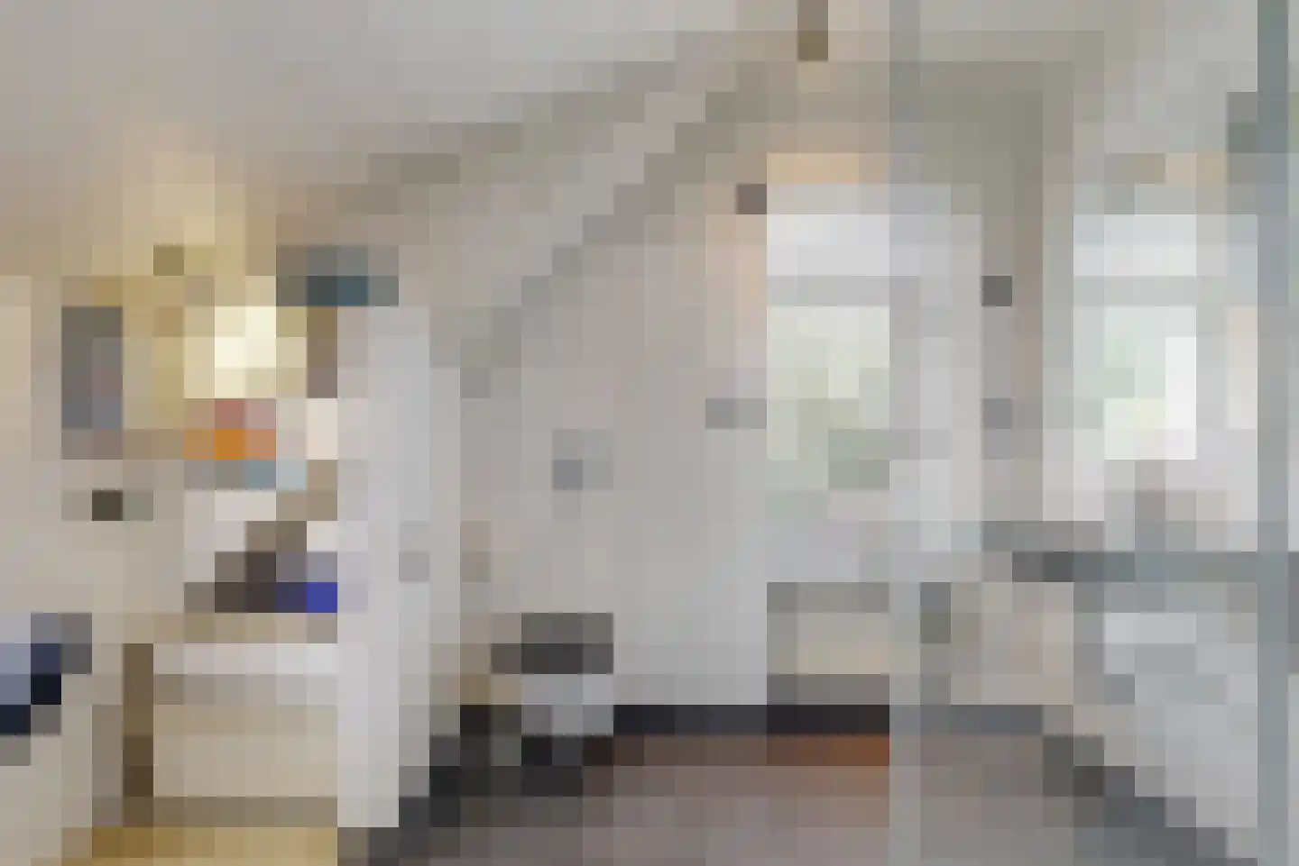 Valeriuslaan 21 Driehuis NH thumbnail 18