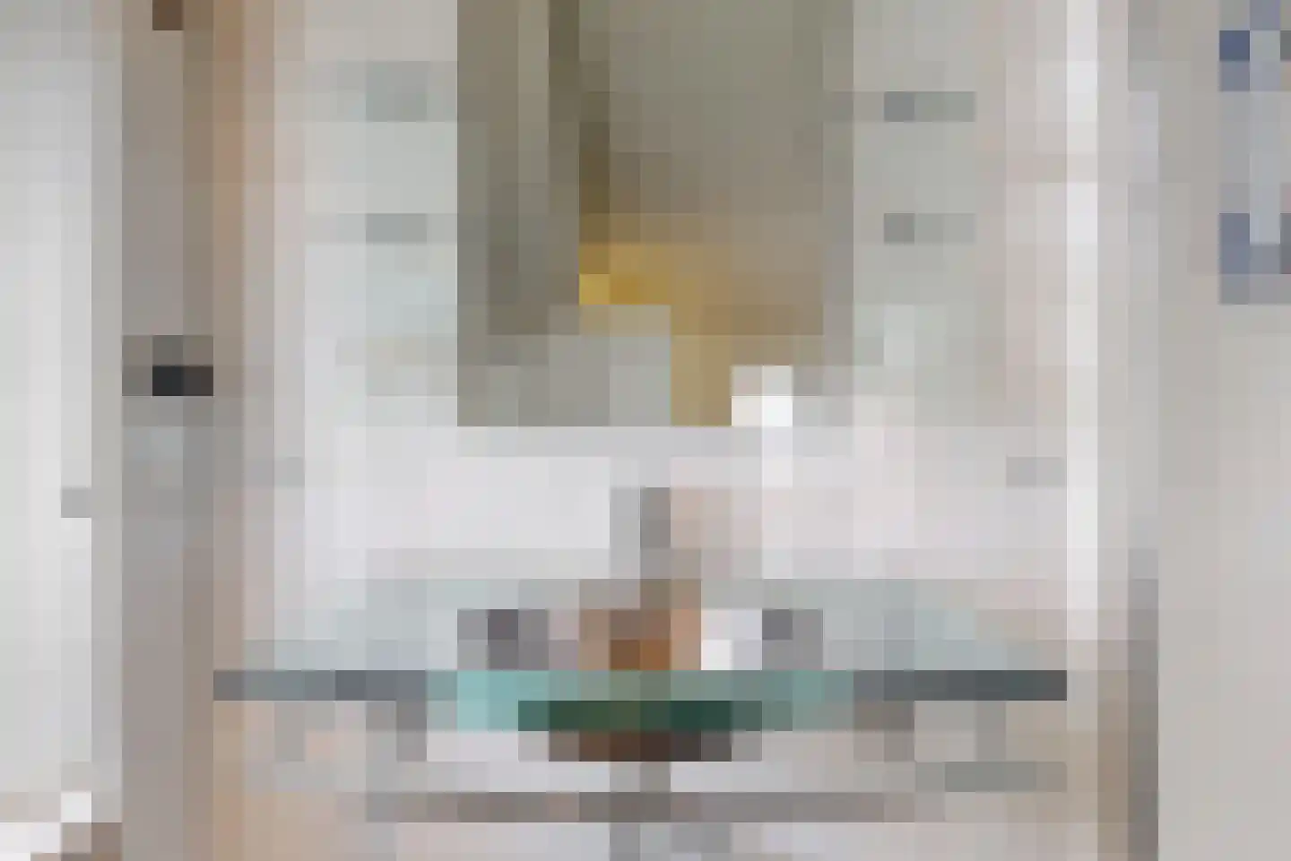 Valeriuslaan 21 Driehuis NH thumbnail 21