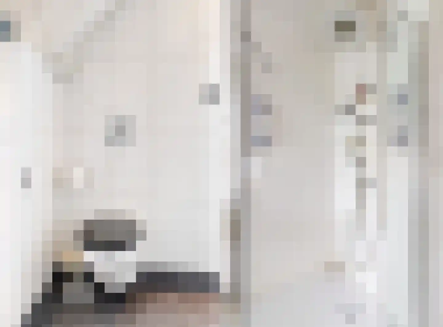 Valeriuslaan 21 Driehuis NH thumbnail 22