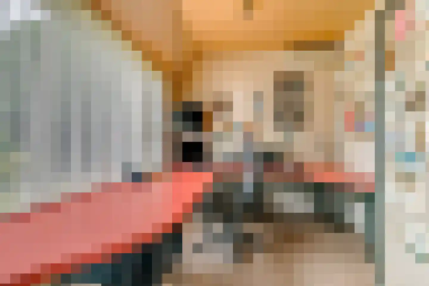 Valeriuslaan 21 Driehuis NH thumbnail 31