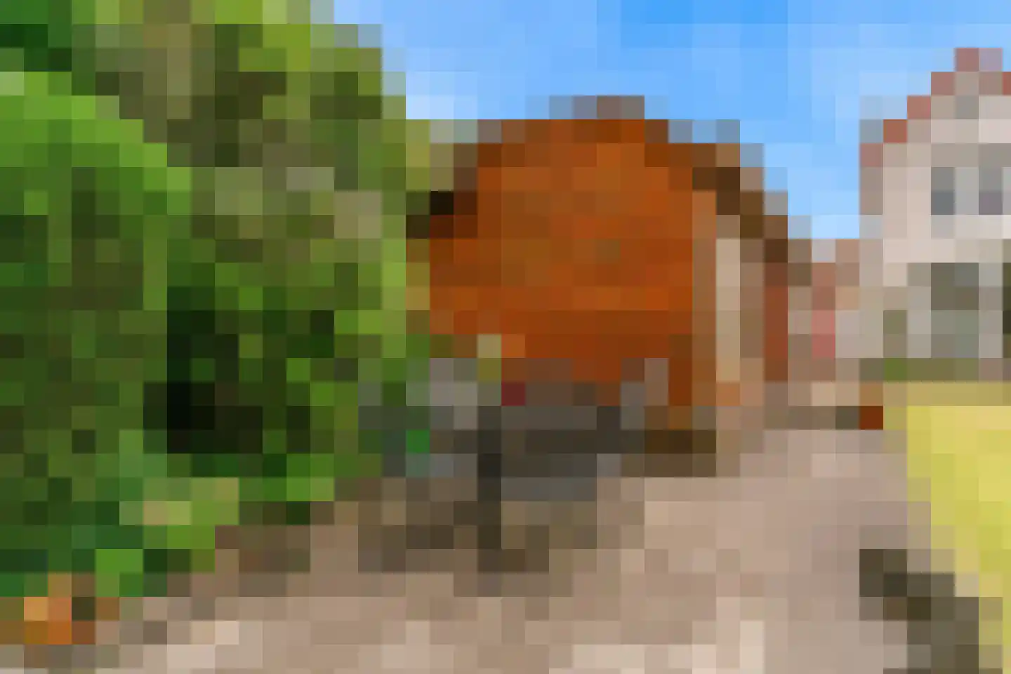 Valeriuslaan 21 Driehuis NH thumbnail 36