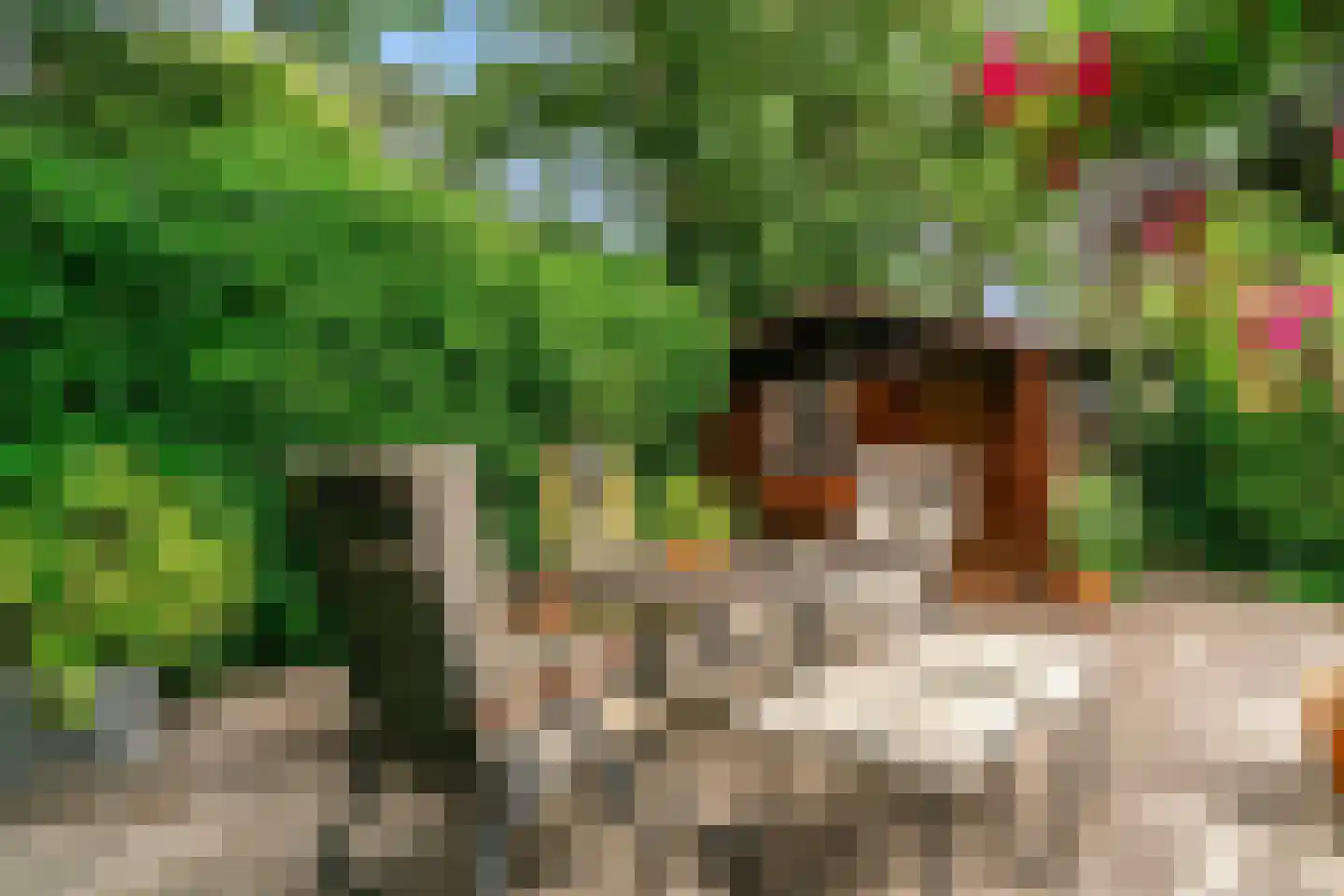 Valeriuslaan 21 Driehuis NH thumbnail 37