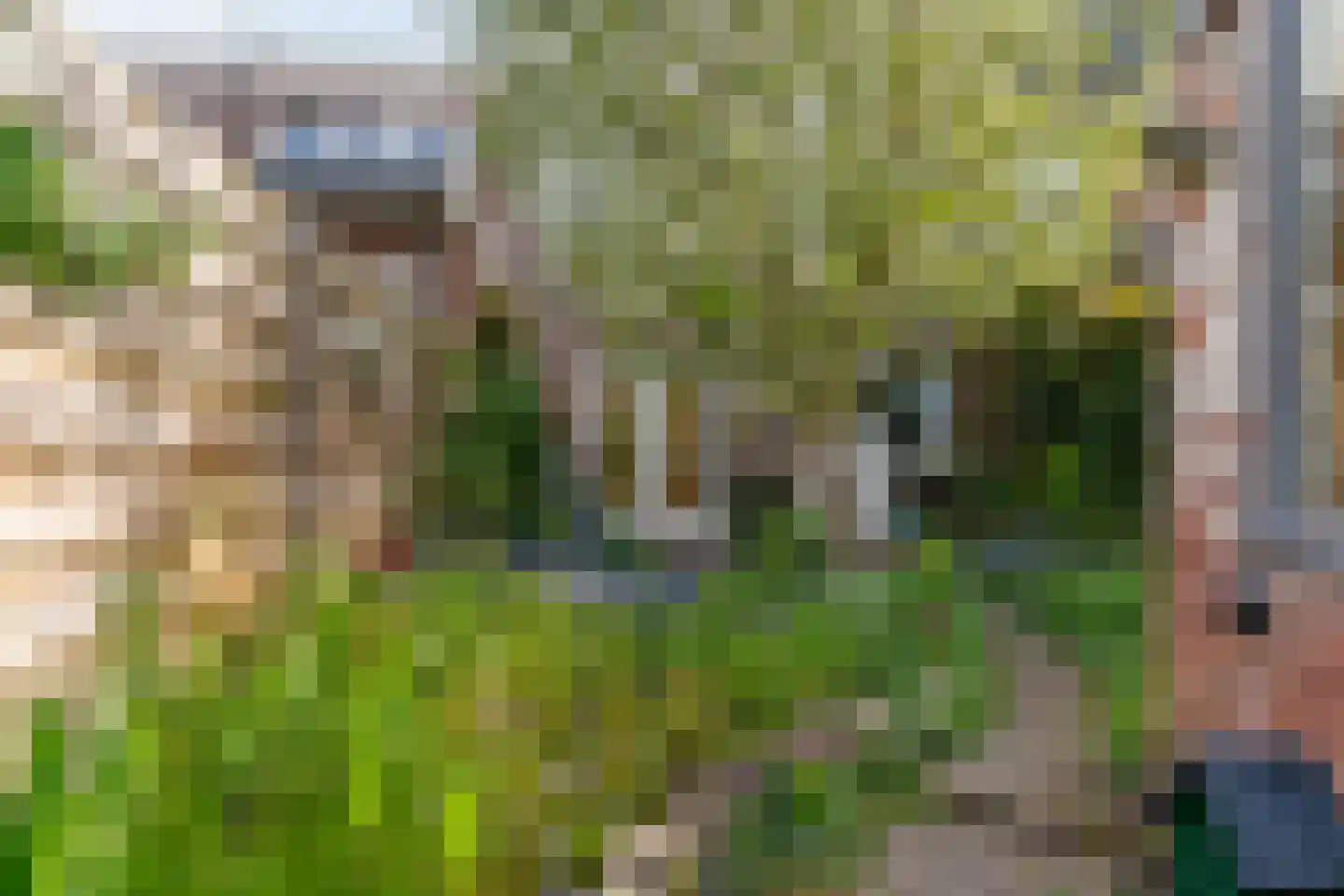 Valeriuslaan 24 Driehuis NH thumbnail 23