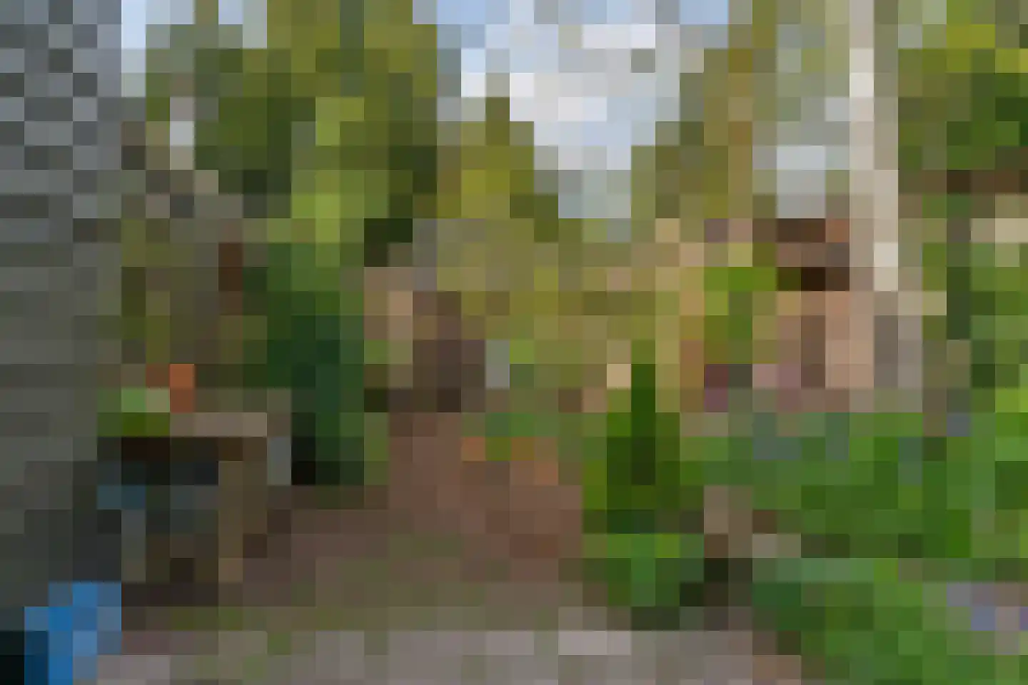Valeriuslaan 24 Driehuis NH thumbnail 6