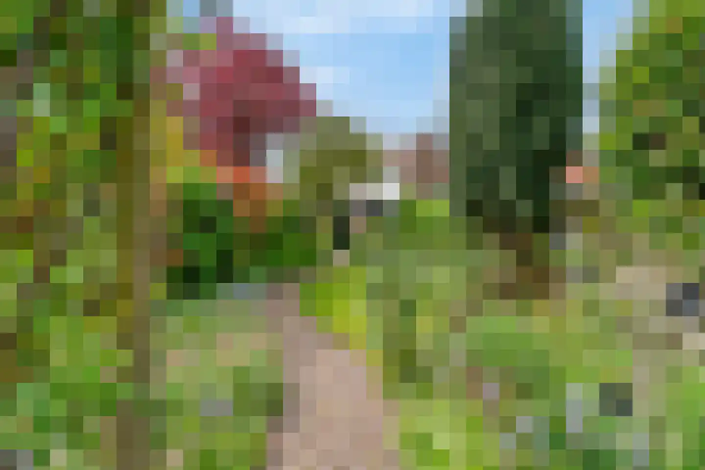 Valeriuslaan 36 Driehuis NH thumbnail 23