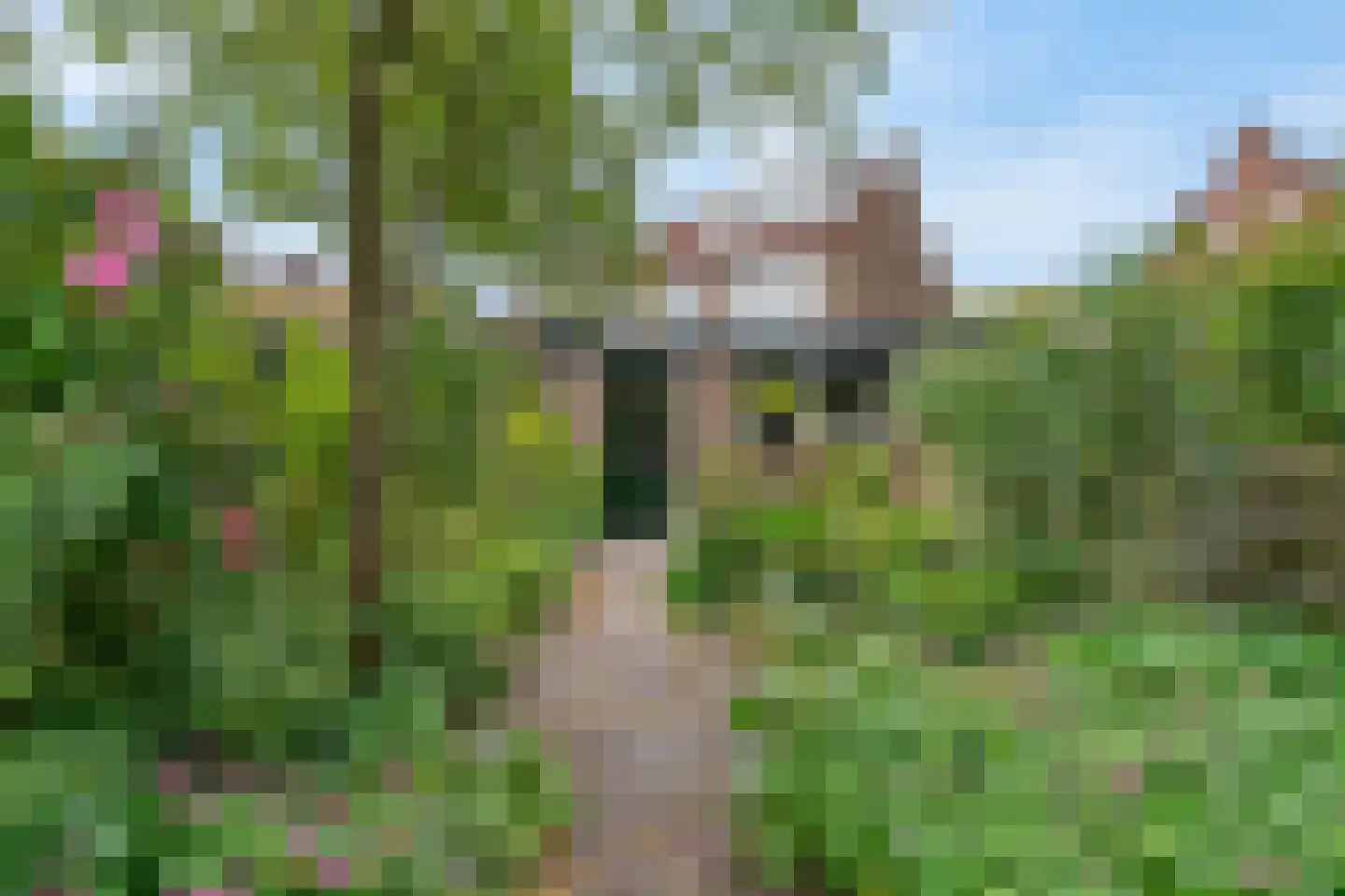 Valeriuslaan 36 Driehuis NH thumbnail 24