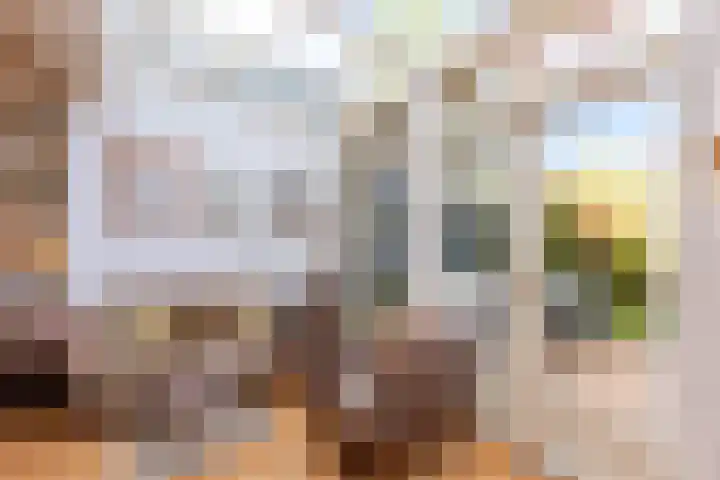 Valeriuslaan 5 Driehuis NH thumbnail 13