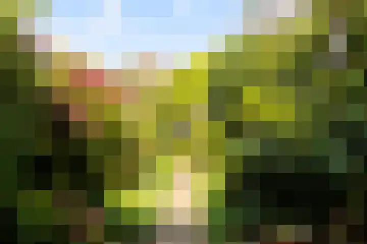 Valeriuslaan 5 Driehuis NH thumbnail 15