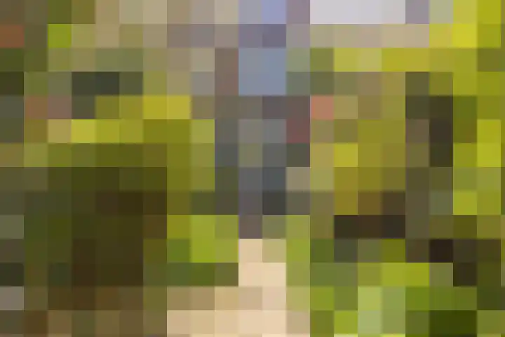 Valeriuslaan 5 Driehuis NH thumbnail 16