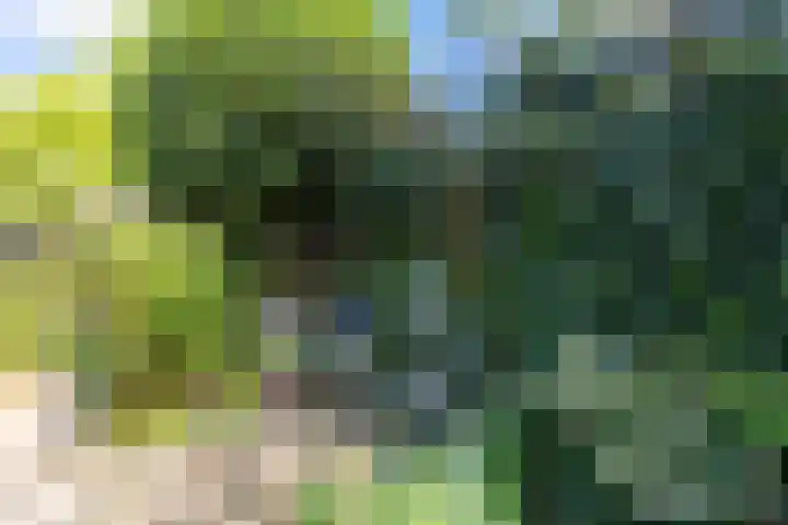 Valeriuslaan 5 Driehuis NH thumbnail 17